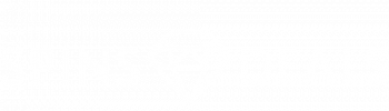 SPINS_transparent